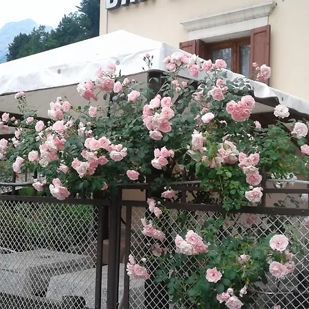 Hotel Brustolon